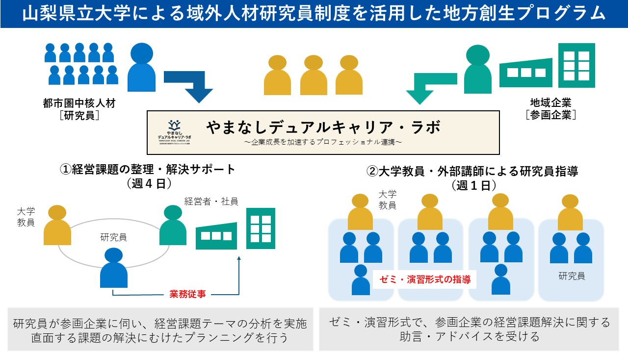 プログラム概要
